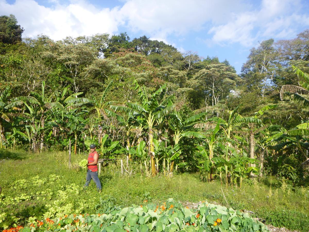 Estelí Finca Lindos Ojos מראה חיצוני תמונה